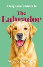 The Labrador - Preview