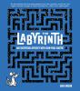 The Labyrinth - Preview