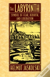 Capa do artigo The Labyrinth