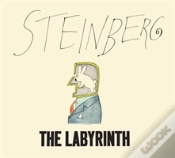 Capa do artigo The Labyrinth
