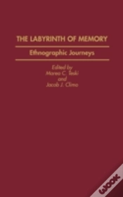 Capa do artigo The Labyrinth Of Memory