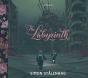 The Labyrinth - Preview