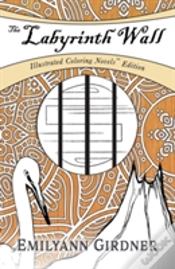 Capa do artigo The Labyrinth Wall