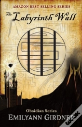 The Labyrinth Wall