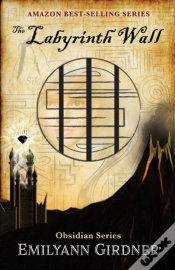 Capa do artigo The Labyrinth Wall