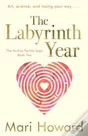 Capa do artigo The Labyrinth Year