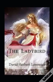 Capa do artigo The Ladybird Annotated