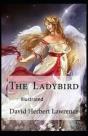 The Ladybird Illustrated - Preview