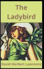 The Ladybird - Preview