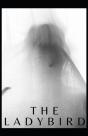 The Ladybird - Preview
