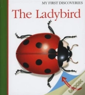 Capa do artigo The Ladybird