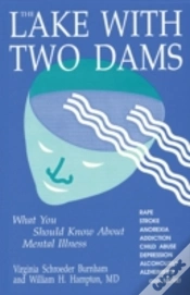 Capa do artigo The Lake With Two Dams