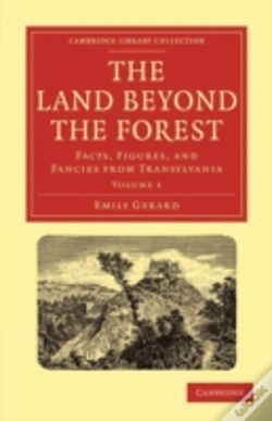 Capa do artigo The Land Beyond The Forest