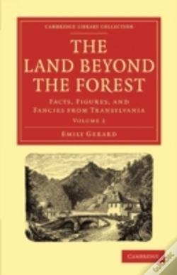 Capa do artigo The Land Beyond The Forest