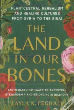 Capa do artigo The Land In Our Bones