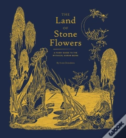 Capa do artigo The Land Of Stone Flowers