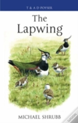 Capa do artigo The Lapwing