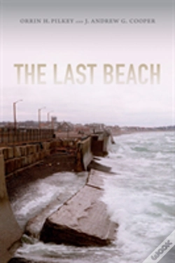 Capa do artigo The Last Beach