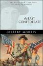 The Last Confederate - Preview