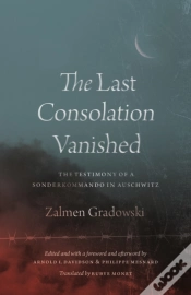 Capa do artigo The Last Consolation Vanished
