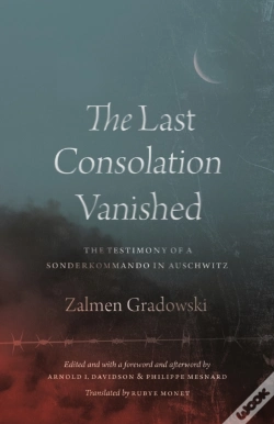 Capa do artigo The Last Consolation Vanished