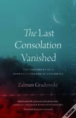 Capa do artigo The Last Consolation Vanished