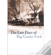 Capa do artigo The Last Days Of The Big Grassy Fork