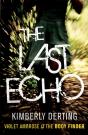 The Last Echo - Preview