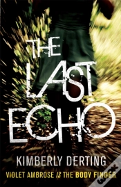 Capa do artigo The Last Echo
