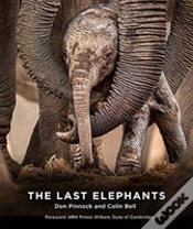 Capa do artigo The Last Elephants