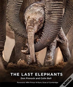 Capa do artigo The Last Elephants