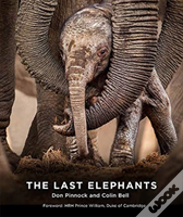 The Last Elephants