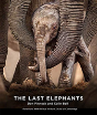 The Last Elephants - Preview