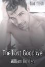 The Last Goodbye - Preview