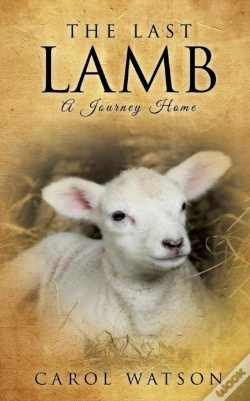 Capa do artigo The Last Lamb