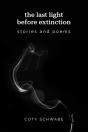 The Last Light Before Extinction - Preview