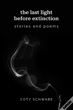 Capa do artigo The Last Light Before Extinction