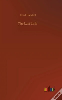 Capa do artigo The Last Link