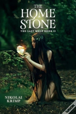 Capa do artigo The Last Mage