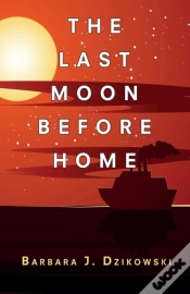 Capa do artigo The Last Moon Before Home