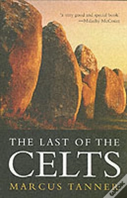 Capa do artigo The Last Of The Celts