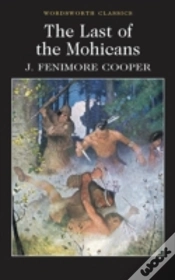 Capa do artigo The Last Of The Mohicans