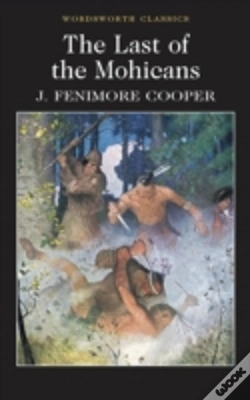 Capa do artigo The Last Of The Mohicans