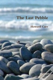 Capa do artigo The Last Pebble