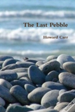 Capa do artigo The Last Pebble