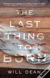 Capa do artigo The Last Thing To Burn