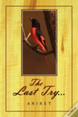 Capa do artigo The Last Try.