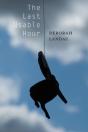 The Last Usable Hour - Preview