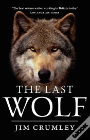 Capa do artigo The Last Wolf