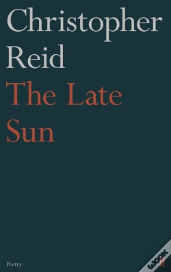 Capa do artigo The Late Sun